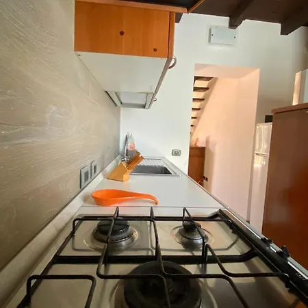 Apartment Broglia House
