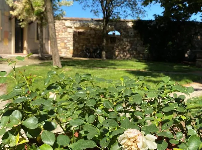 Broglia House דירה